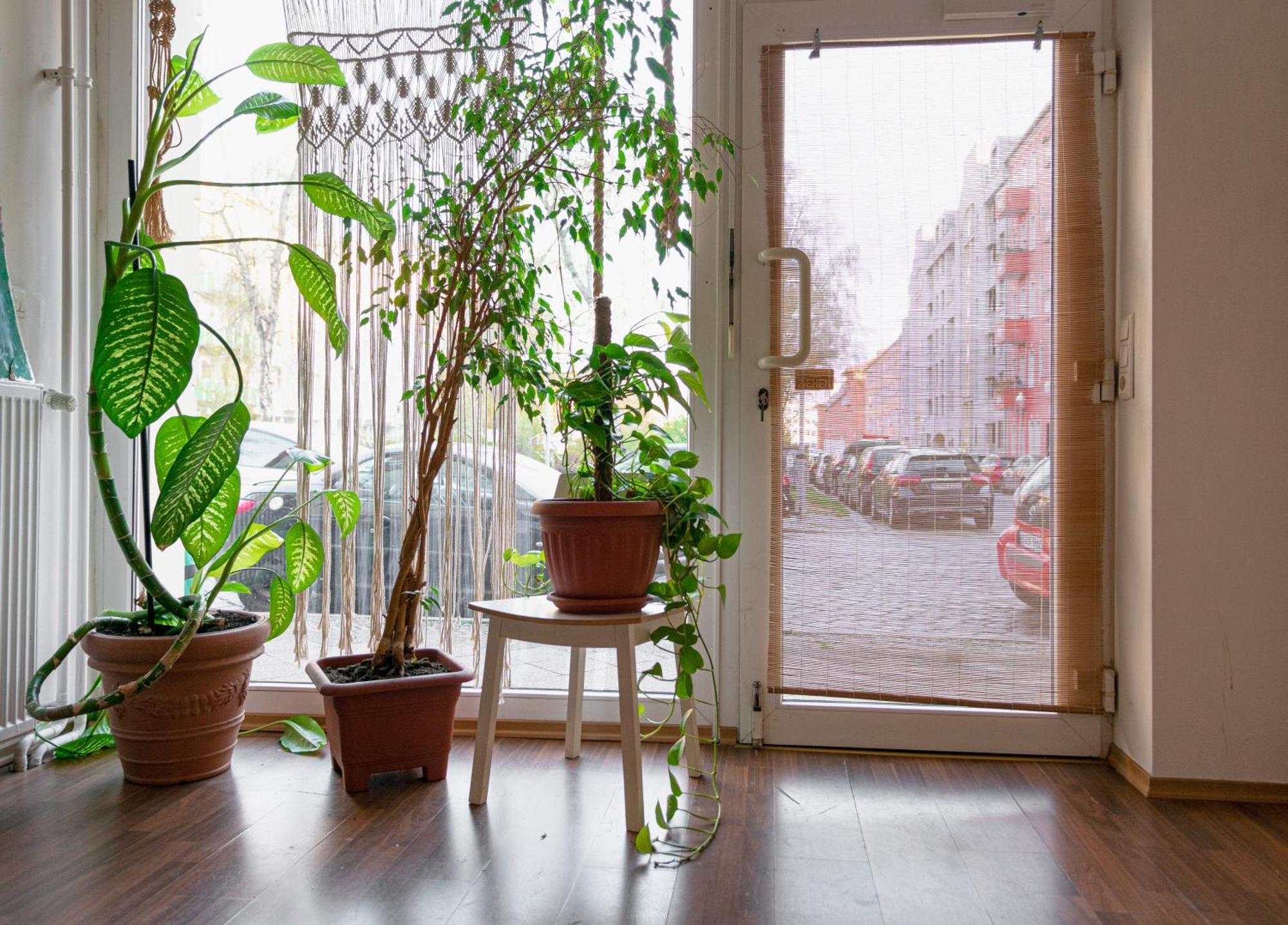 Boutique Altbau Apartment Берлин Экстерьер фото